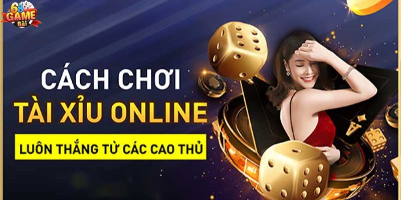 Học hỏi cách chơi tài xỉu từ cao thủ để thắng lớn